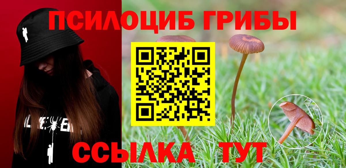 Псилоцибиновые грибы мухоморы  Вход с VPN  Азов 